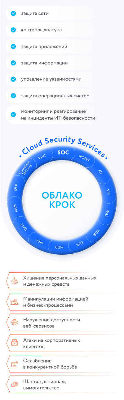 структура Cloud Security Services